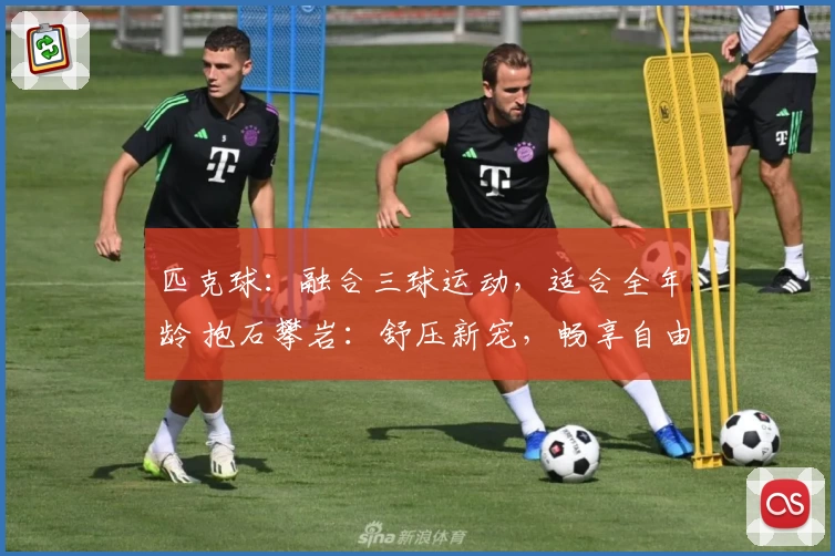 匹克球：融合三球运动，适合全年龄 抱石攀岩：舒压新宠，畅享自由