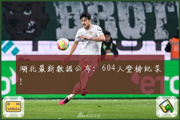 湖北最新数据公布:604人登榜纪录!