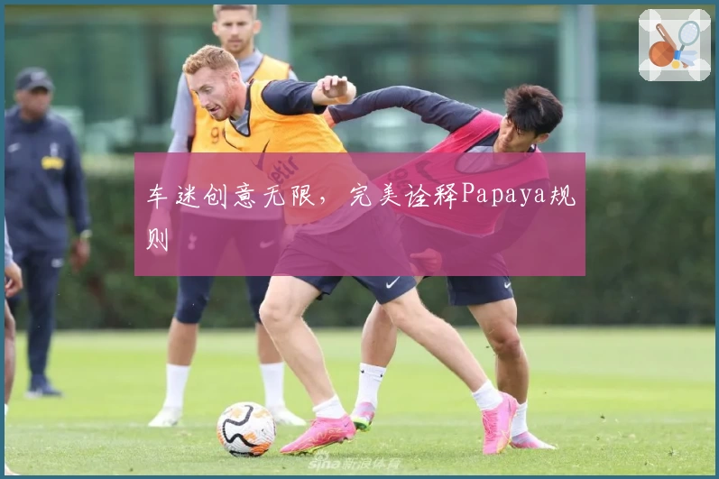 车迷创意无限，完美诠释Papaya规则