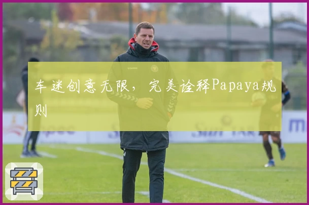 车迷创意无限，完美诠释Papaya规则